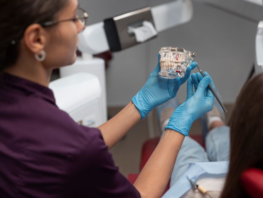 What Is a Dental Arch and Why Does It Matter for Your Oral Health?