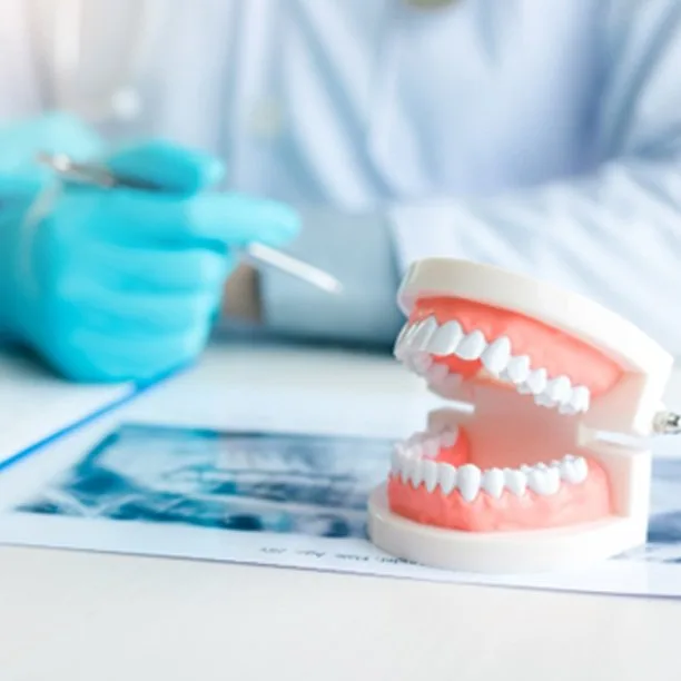Dentist working on a patient's denture